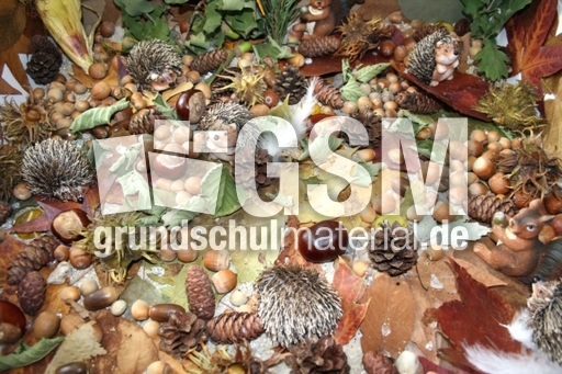 Herbstlandschaft-1.jpg